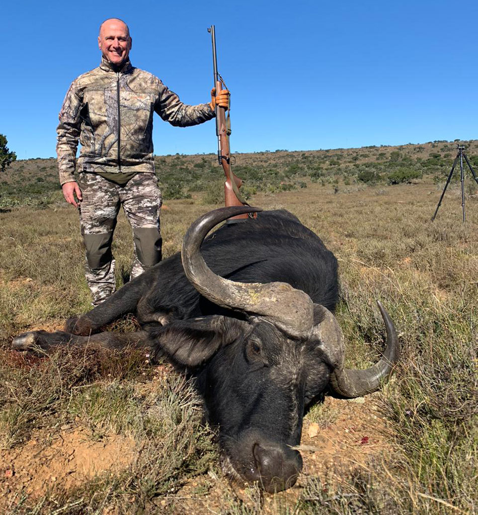 Cape Buffalo